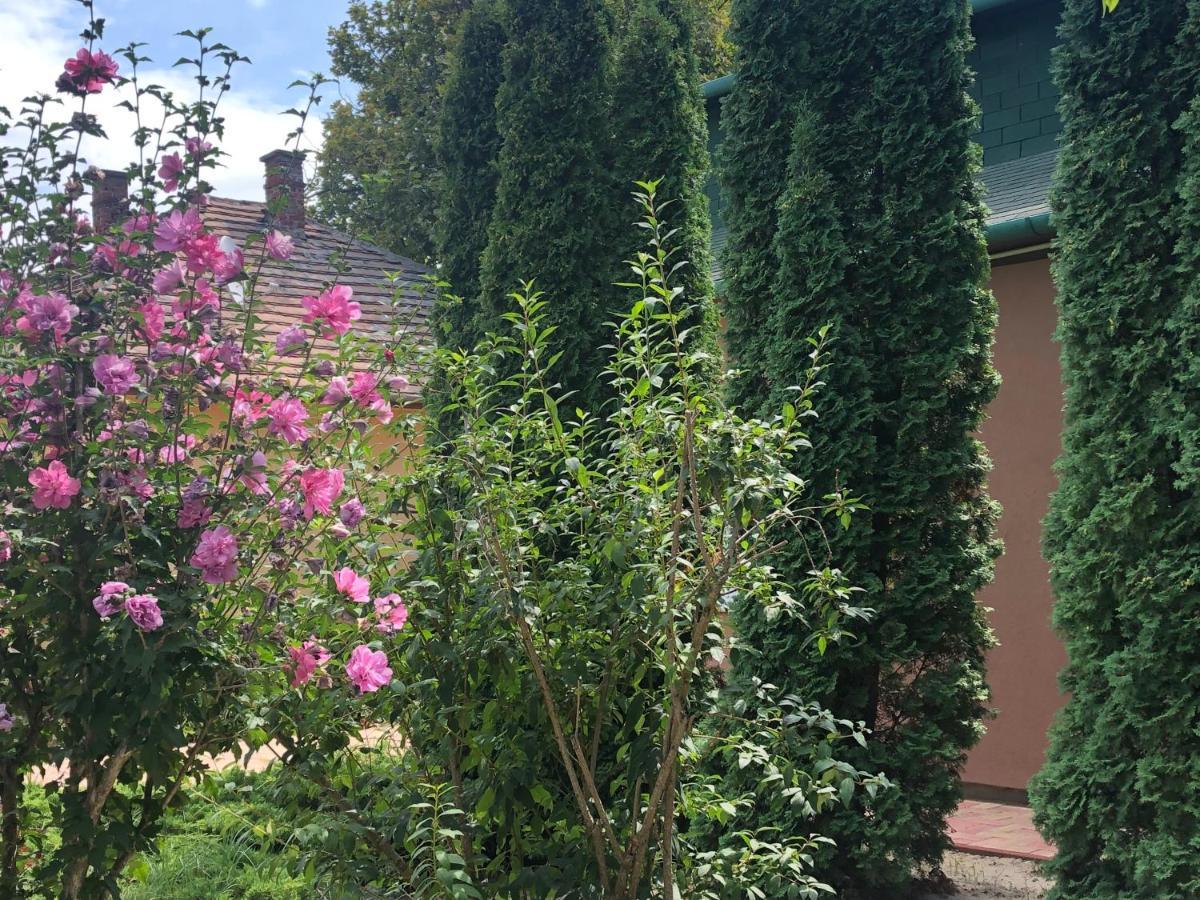 Villa Casa Mia Balatonlelle Εξωτερικό φωτογραφία